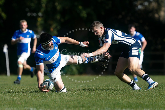 Rugby: Diss v Sudbury II