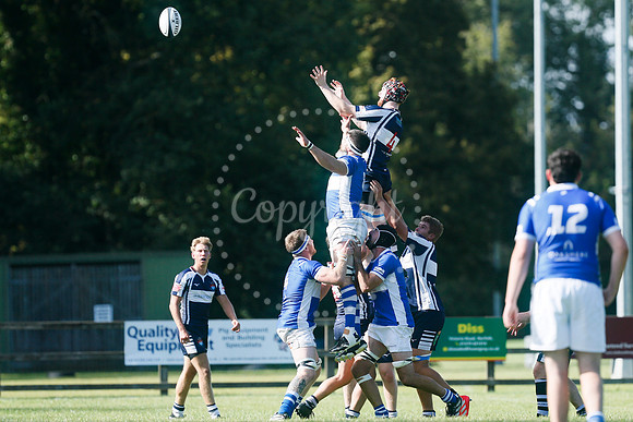 Rugby: Diss v Sudbury II