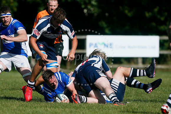 Rugby: Diss v Sudbury II