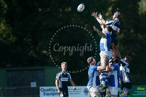 Rugby: Diss v Sudbury II