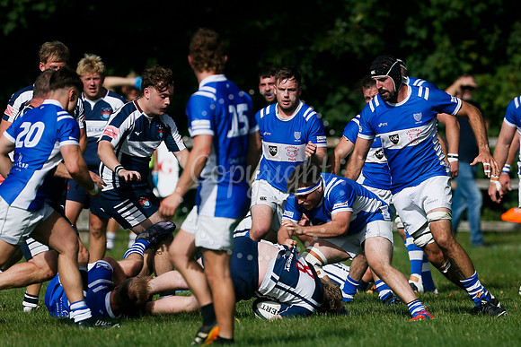Rugby: Diss v Sudbury II