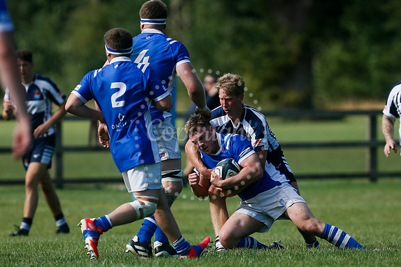 Rugby: Diss v Sudbury II