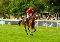 NJ July racecourse, NewmarketNewmarket Town Plate. Picture by M