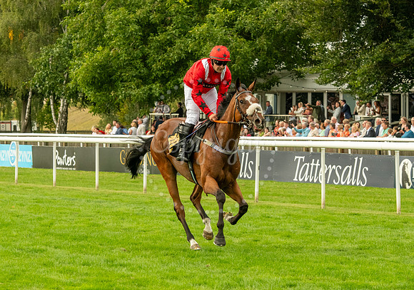 NJ July racecourse, NewmarketNewmarket Town Plate. Picture by M