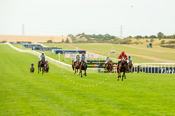 NJ July racecourse, NewmarketNewmarket Town Plate. Picture by M
