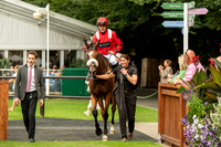NJ July racecourse, NewmarketNewmarket Town Plate. Picture by M