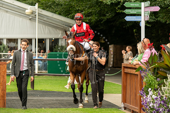 NJ July racecourse, NewmarketNewmarket Town Plate. Picture by M