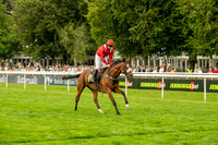 NJ July racecourse, NewmarketNewmarket Town Plate. Picture by M