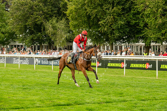 NJ July racecourse, NewmarketNewmarket Town Plate. Picture by M