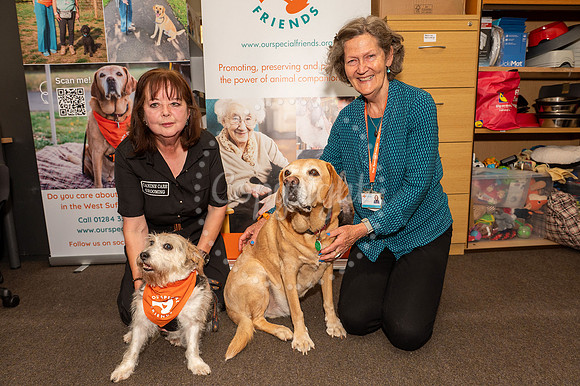BFP Unit 4, The Vision Centre, 5 Eastern Way, Bury St Edmunds. D