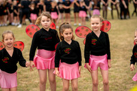 HE Recreation Ground, Camps Road, HaverhillHaverhill Show. Pict