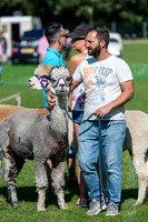 HE Recreation Ground, Great Thurlow, Thurlow Fayre. Picture by M