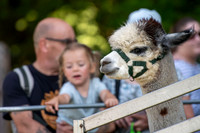 HE Recreation Ground, Great Thurlow, Thurlow Fayre. Picture by M