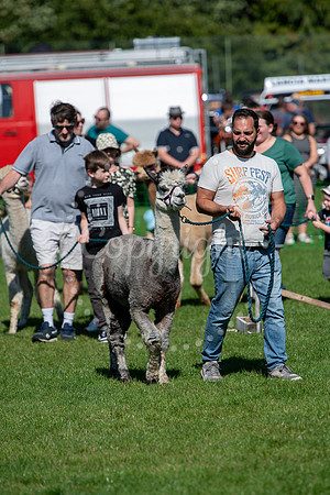 HE Recreation Ground, Great Thurlow, Thurlow Fayre. Picture by M