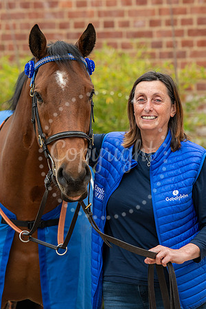NJ Newmarket National Horseracing Museum, Godolphin therapy hors