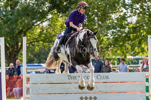 NJ NewmarketHenry Cecil Open weekend/ yards open and events on