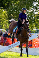 NJ NewmarketHenry Cecil Open weekend/ yards open and events on