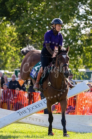 NJ NewmarketHenry Cecil Open weekend/ yards open and events on
