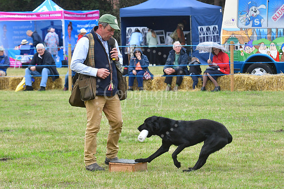Collingham Show