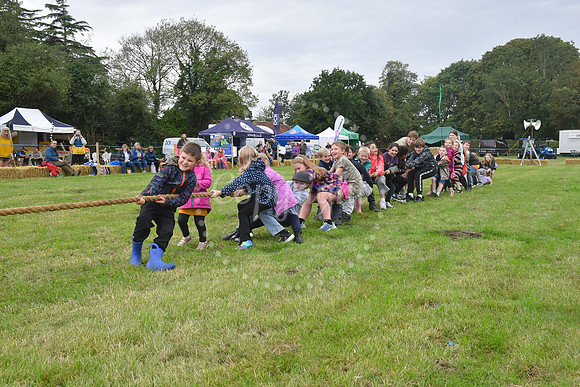 Collingham Show