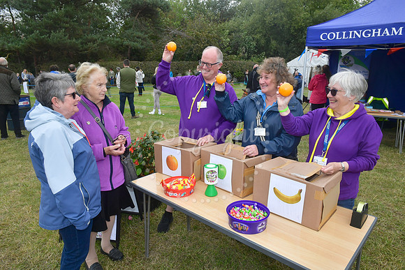 Collingham Show