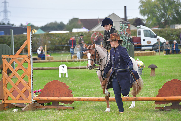 Collingham Show