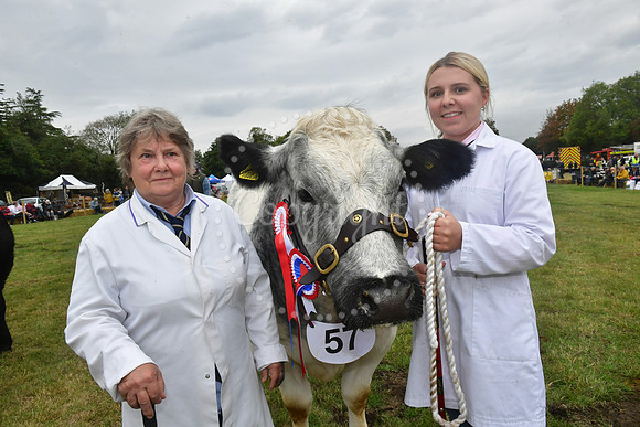 Collingham Show