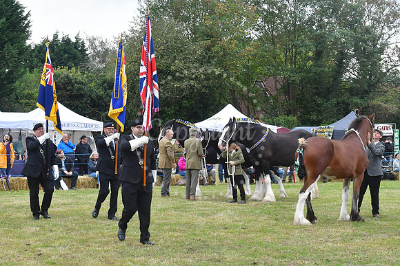 Collingham Show