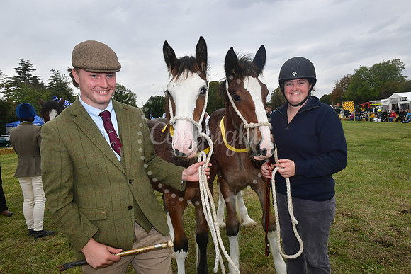 Collingham Show