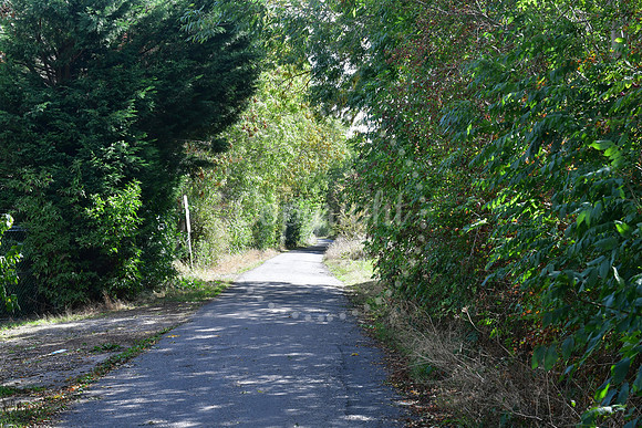 Closed footpaths and Lowfield Lane