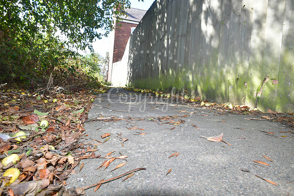 Closed footpaths and Lowfield Lane