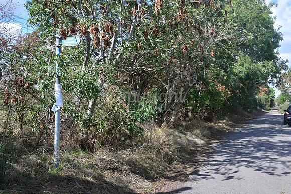 Closed footpaths and Lowfield Lane