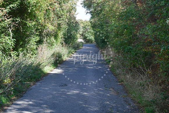 Closed footpaths and Lowfield Lane