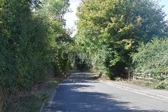 Closed footpaths and Lowfield Lane