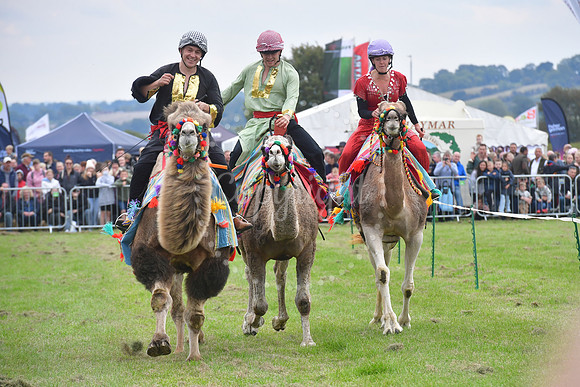 Southwell Ploughing Match and Show