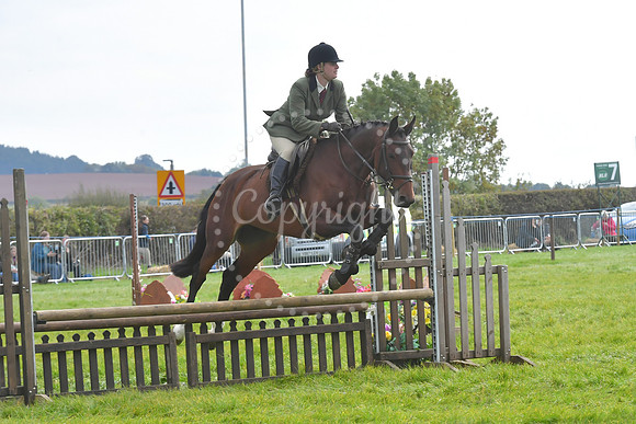 Southwell Ploughing Match and Show