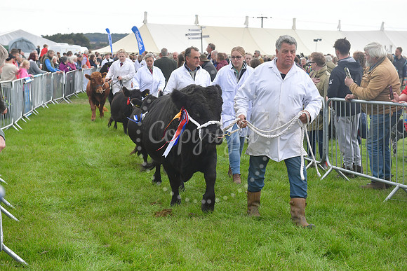Southwell Ploughing Match and Show