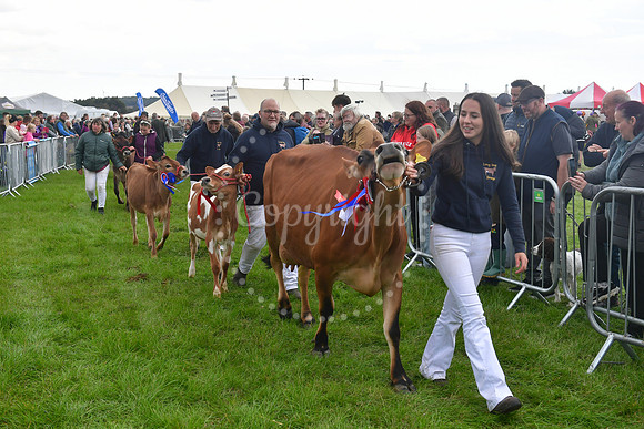 Southwell Ploughing Match and Show