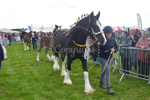 Southwell Ploughing Match and Show
