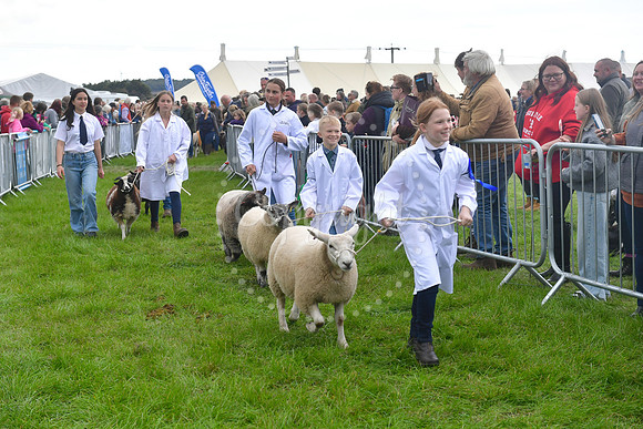 Southwell Ploughing Match and Show