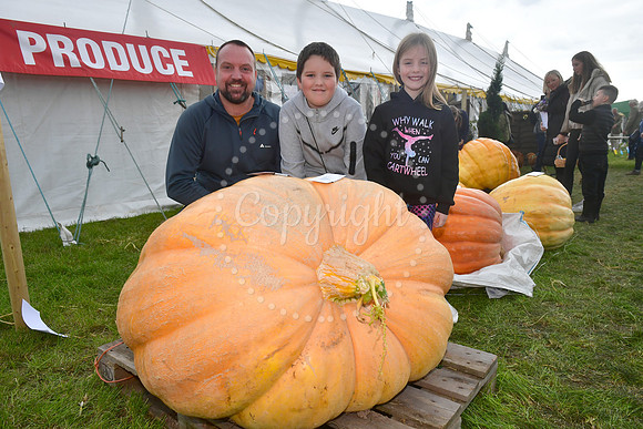 Southwell Ploughing Match and Show