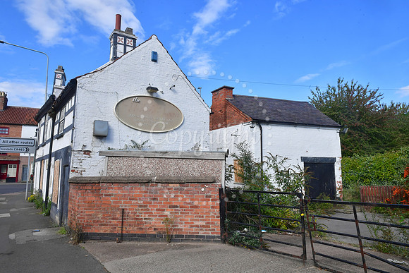 The White Swan
