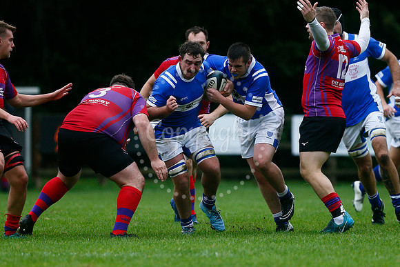 Rugby - Diss v Mistley
