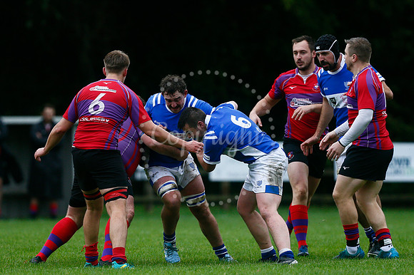 Rugby - Diss v Mistley