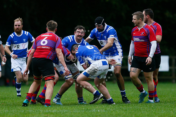 Rugby - Diss v Mistley