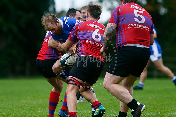 Rugby - Diss v Mistley