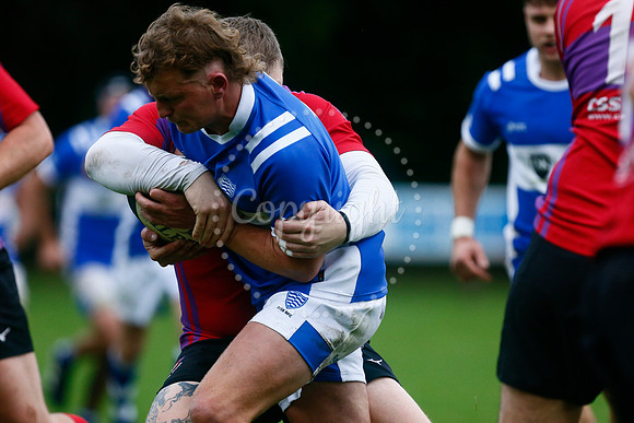 Rugby - Diss v Mistley