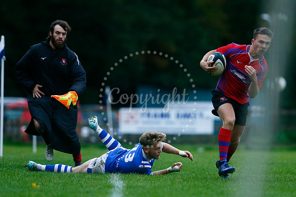 Rugby - Diss v Mistley