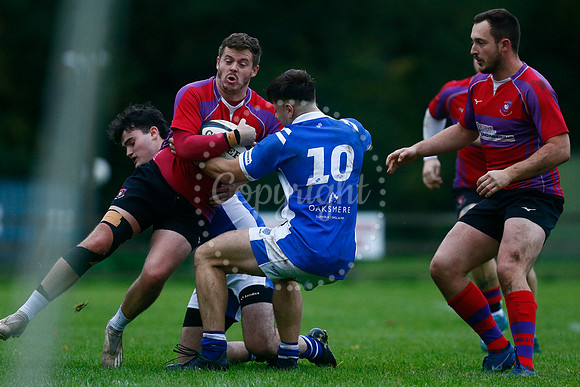 Rugby - Diss v Mistley
