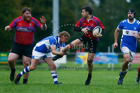 Rugby - Diss v Mistley